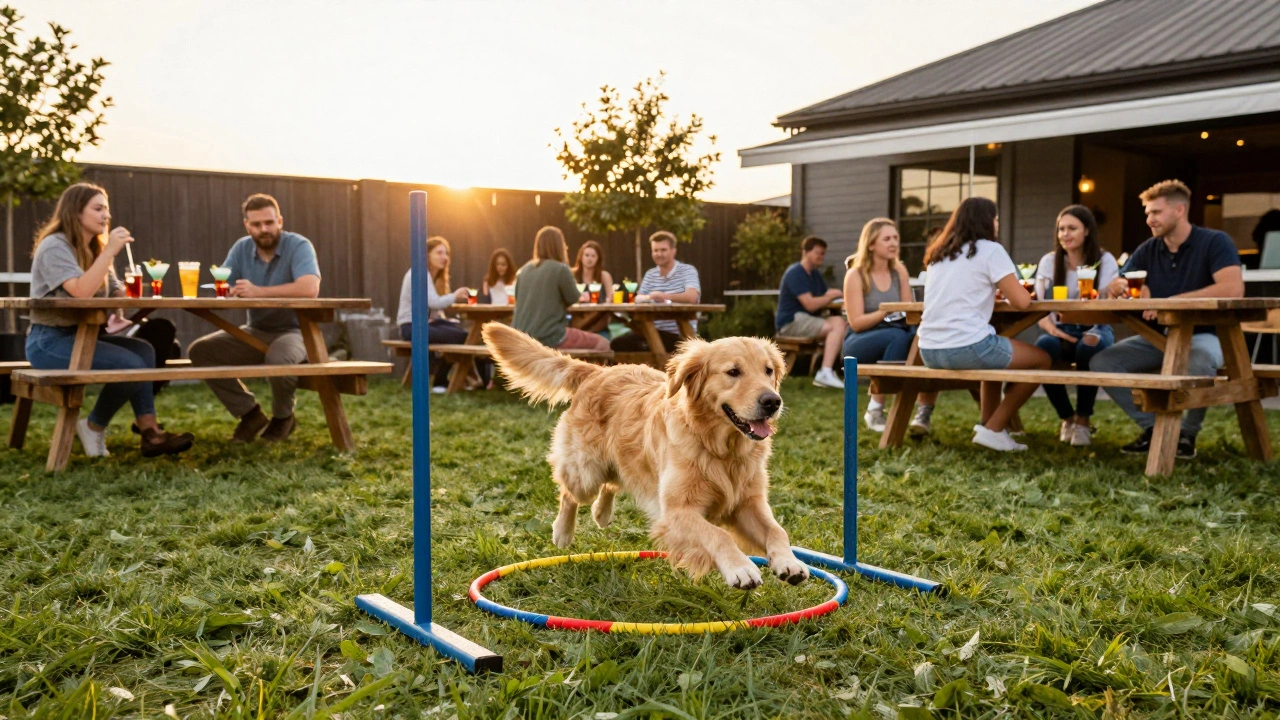 Dog-Friendly Bars and Evening Walk Routes: A Pet Owner's Guide